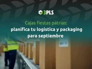 Cajas Fiestas Patrias